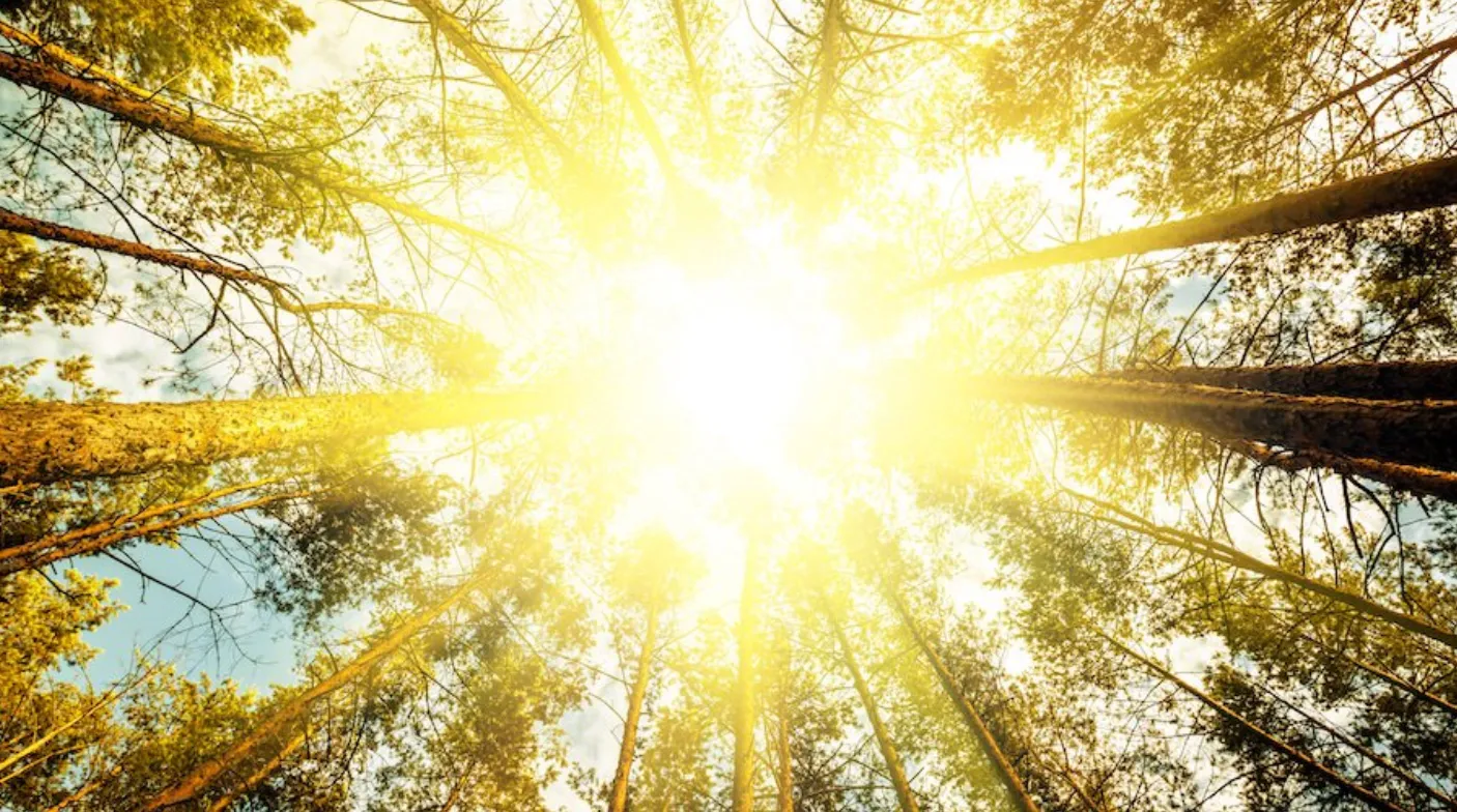 Let There Be (the Right) Light